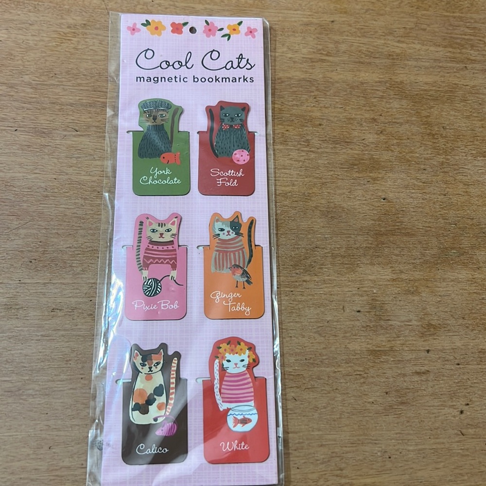 Cool cats magnets